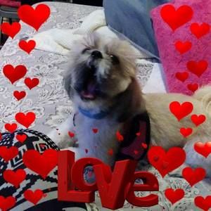 Meet your Posher, Ana